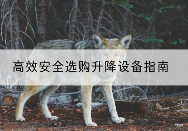 中牟升降货梯厂家推荐-*安全选购升降设备指南