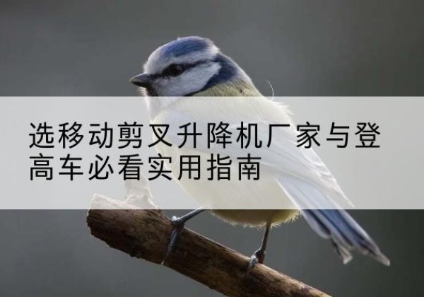 中牟电动升降机厂家-选移动剪叉升降机厂家与登高车必看实用指南