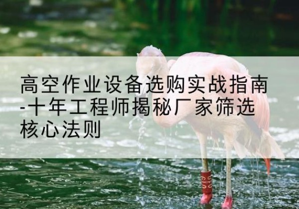 中牟剪叉式升降机厂家-高空作业设备选购实战指南-十年工程师揭秘厂家筛选核心法则